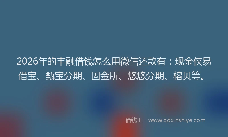 2026年的丰融借钱怎么用微信还款有：现金侠易借宝、甄宝分期、固金所、悠悠分期、榕贝等。