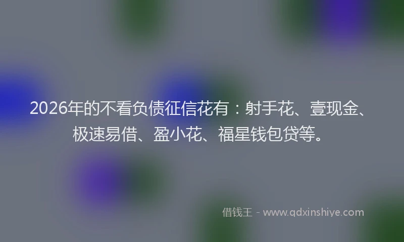 2026年的不看负债征信花有：射手花、壹现金、极速易借、盈小花、福星钱包贷等。