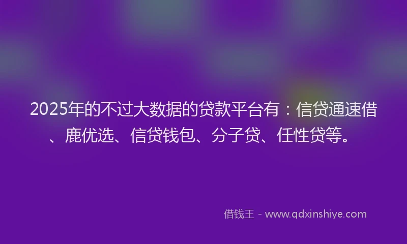 2025年的不过大数据的贷款平台有：信贷通速借、鹿优选、信贷钱包、分子贷、任性贷等。