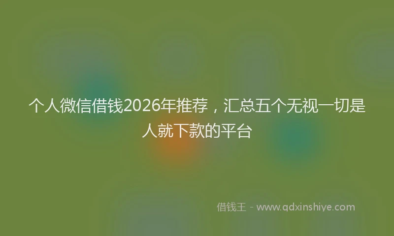 个人微信借钱2026年推荐，汇总五个无视一切是人就下款的平台