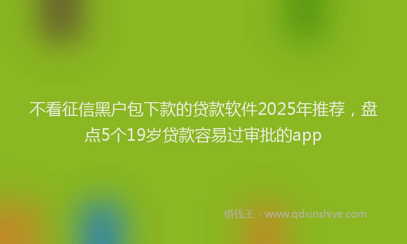 不看征信黑户包下款的贷款软件2025年推荐，盘点5个19岁贷款容易过审批的app
