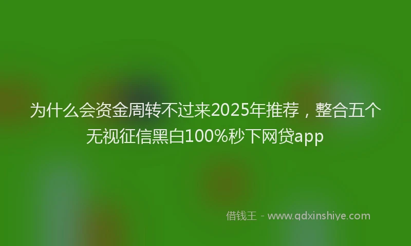 为什么会资金周转不过来2025年推荐,整合五个无视征信黑白100%秒下网贷app