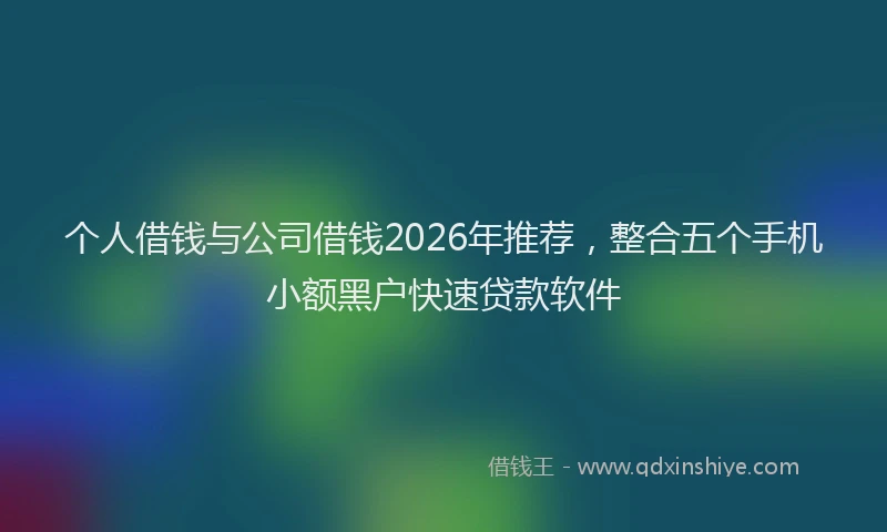 个人借钱与公司借钱2026年推荐，整合五个手机小额黑户快速贷款软件