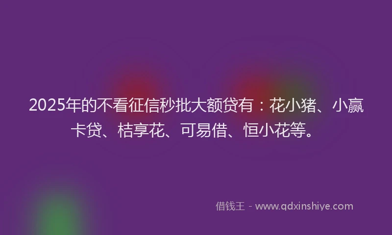 2025年的不看征信秒批大额贷有：花小猪、小赢卡贷、桔享花、可易借、恒小花等。