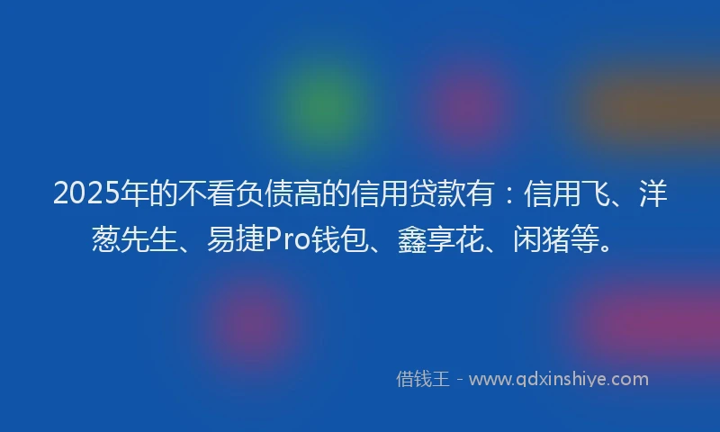 2025年的不看负债高的信用贷款有：信用飞、洋葱先生、易捷Pro钱包、鑫享花、闲猪等。