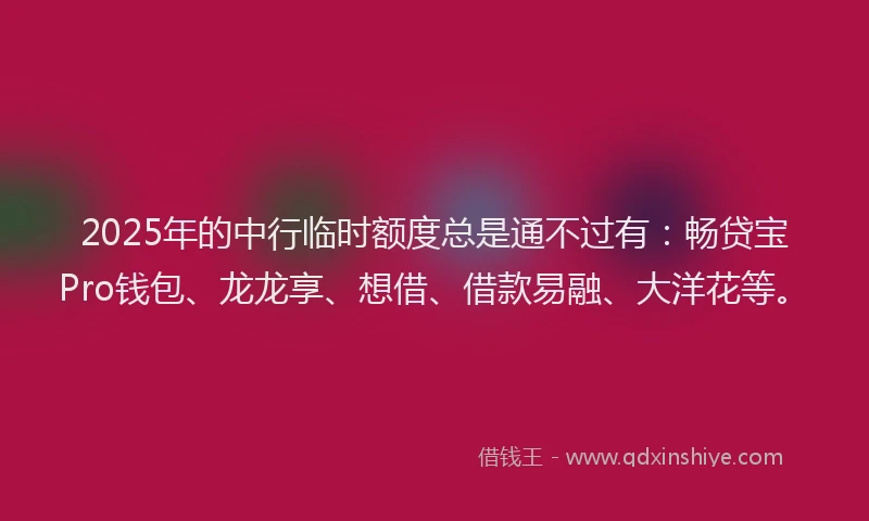 2025年的中行临时额度总是通不过有：畅贷宝Pro钱包、龙龙享、想借、借款易融、大洋花等。