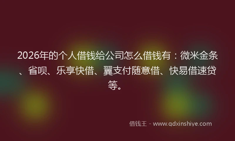 2026年的个人借钱给公司怎么借钱有：微米金条、省呗、乐享快借、翼支付随意借、快易借速贷等。