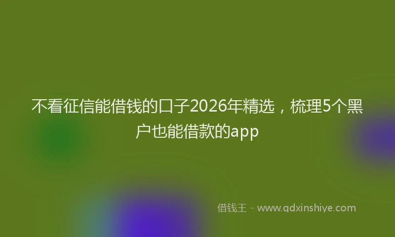 不看征信能借钱的口子2026年精选，梳理5个黑户也能借款的app