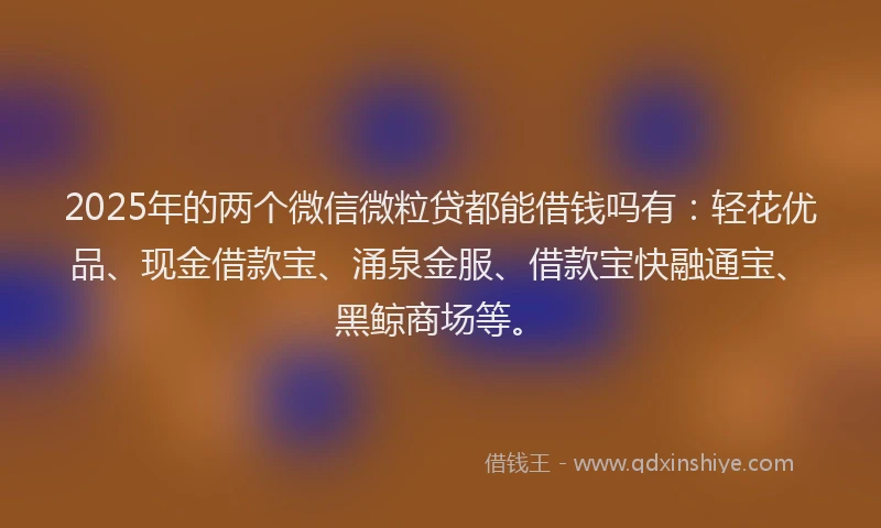 2025年的两个微信微粒贷都能借钱吗有：轻花优品、现金借款宝、涌泉金服、借款宝快融通宝、黑鲸商场等。
