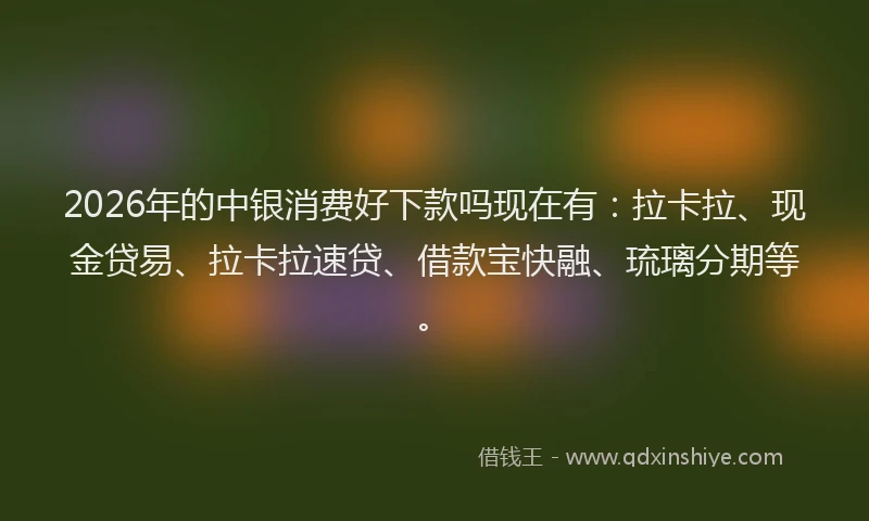 2026年的中银消费好下款吗现在有：拉卡拉、现金贷易、拉卡拉速贷、借款宝快融、琉璃分期等。