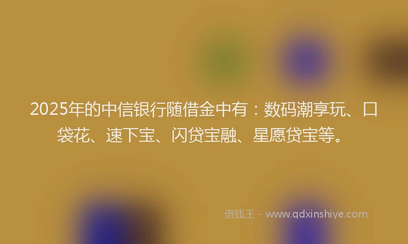 2025年的中信银行随借金中有：数码潮享玩、口袋花、速下宝、闪贷宝融、星愿贷宝等。