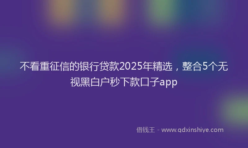不看重征信的银行贷款2025年精选，整合5个无视黑白户秒下款口子app