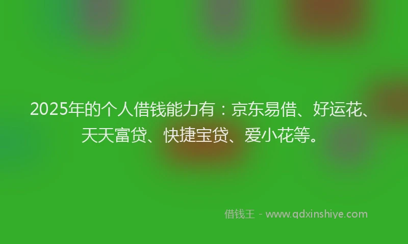 2025年的个人借钱能力有：京东易借、好运花、天天富贷、快捷宝贷、爱小花等。