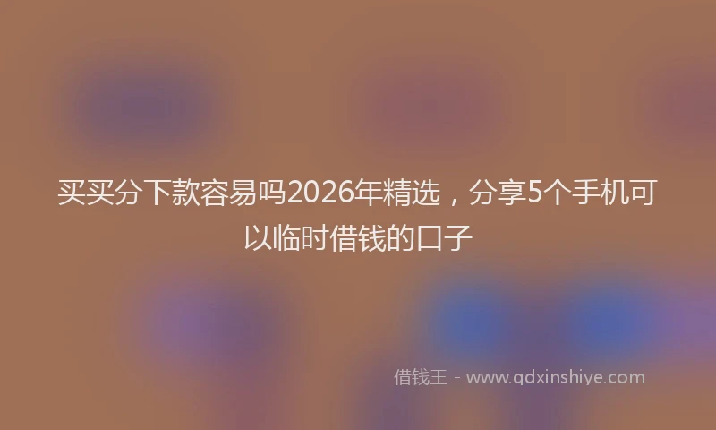 买买分下款容易吗2026年精选，分享5个手机可以临时借钱的口子