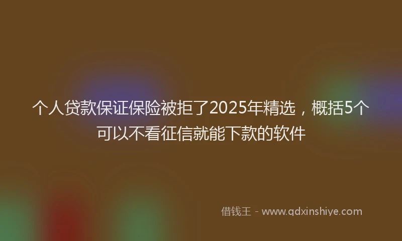 个人贷款保证保险被拒了2025年精选，概括5个可以不看征信就能下款的软件