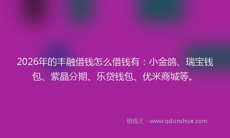 2026年的丰融借钱怎么借钱有：小金鸽、瑞宝钱包、紫晶分期、乐贷钱包、优米商城等。
