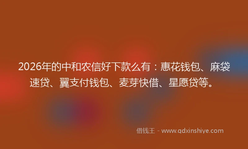 2026年的中和农信好下款么有:惠花钱包、麻袋速贷、翼支付钱包、麦芽快借、星愿贷等。