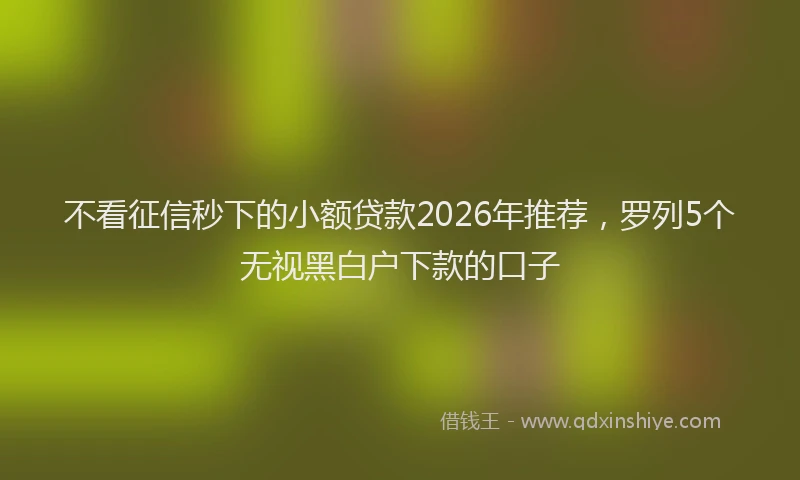 不看征信秒下的小额贷款2026年推荐，罗列5个无视黑白户下款的口子
