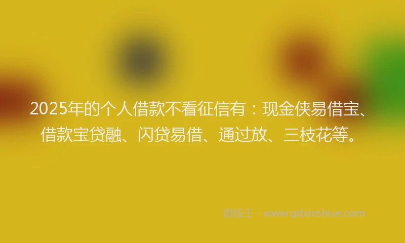 2025年的个人借款不看征信有：现金侠易借宝、借款宝贷融、闪贷易借、通过放、三枝花等。