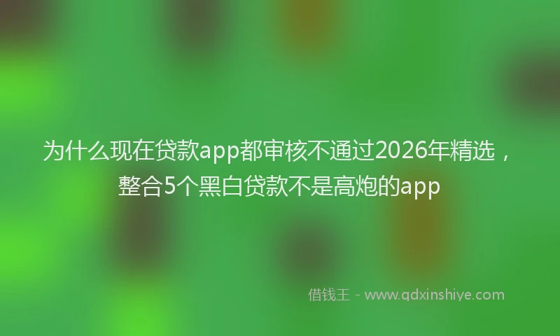 为什么现在贷款app都审核不通过2026年精选,整合5个黑白贷款不是高炮的app