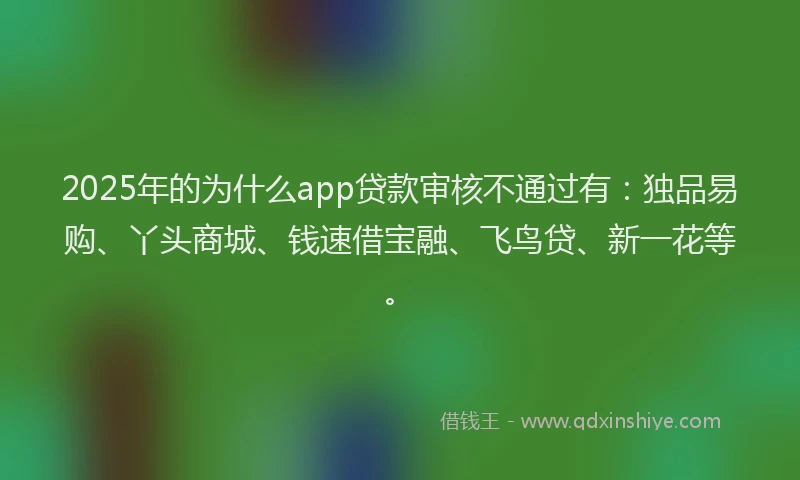 2025年的为什么app贷款审核不通过有：独品易购、丫头商城、钱速借宝融、飞鸟贷、新一花等。