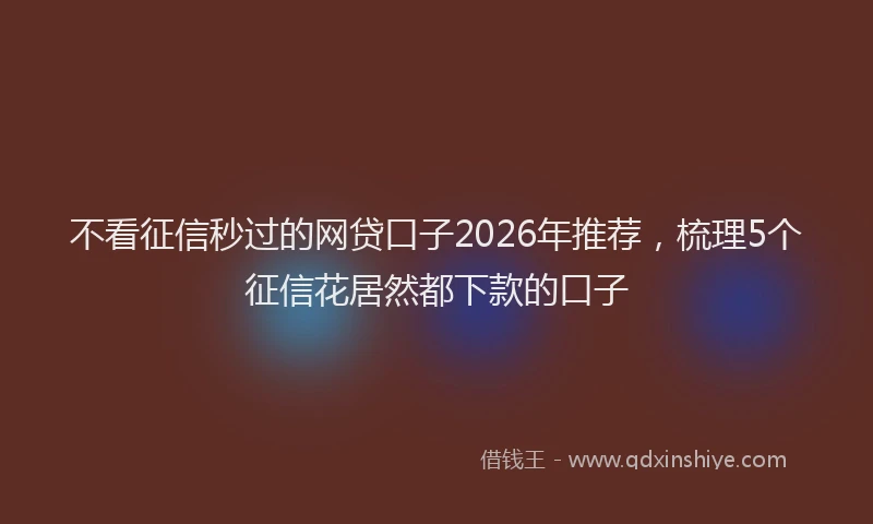 不看征信秒过的网贷口子2026年推荐，梳理5个征信花居然都下款的口子