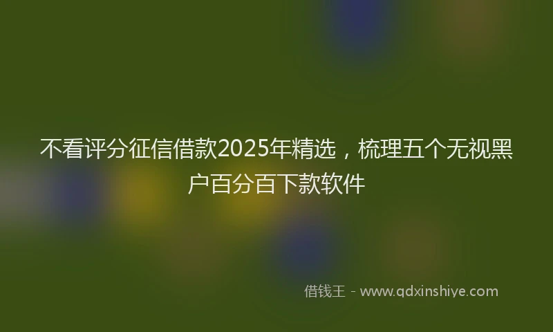 不看评分征信借款2025年精选，梳理五个无视黑户百分百下款软件