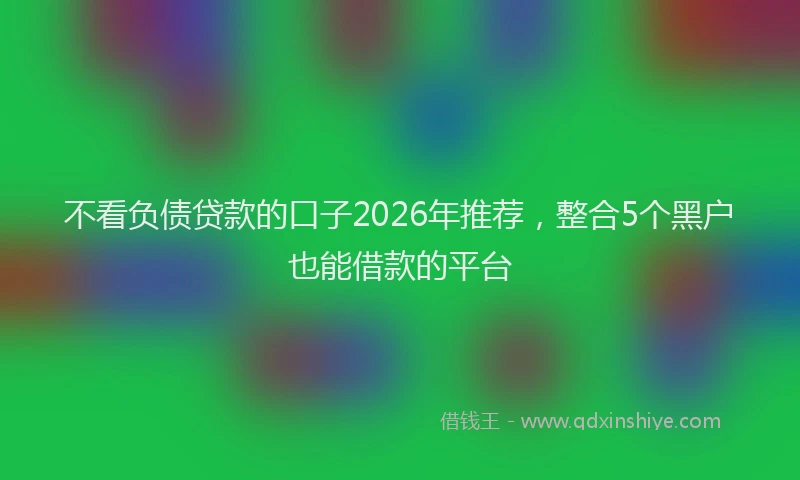 不看负债贷款的口子2026年推荐，整合5个黑户也能借款的平台