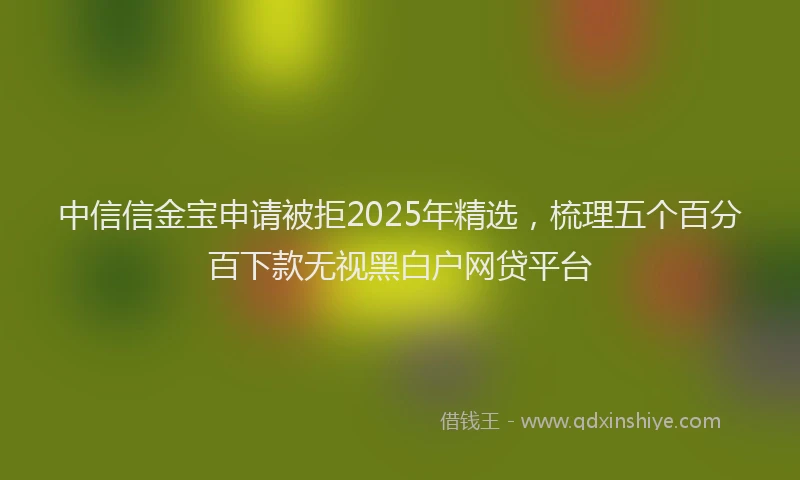 中信信金宝申请被拒2025年精选，梳理五个百分百下款无视黑白户网贷平台