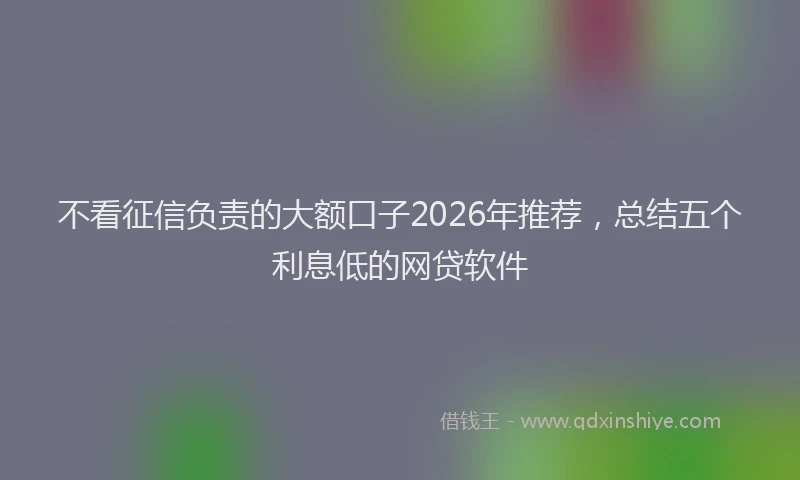 不看征信负责的大额口子2026年推荐，总结五个利息低的网贷软件