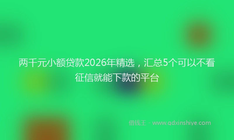 两千元小额贷款2026年精选，汇总5个可以不看征信就能下款的平台