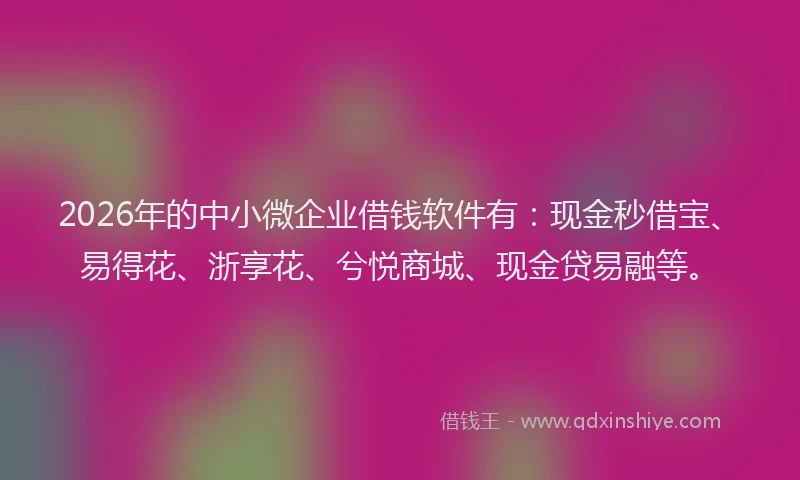2026年的中小微企业借钱软件有：现金秒借宝、易得花、浙享花、兮悦商城、现金贷易融等。