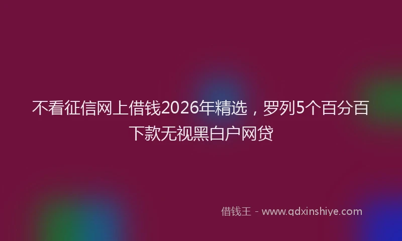 不看征信网上借钱2026年精选，罗列5个百分百下款无视黑白户网贷