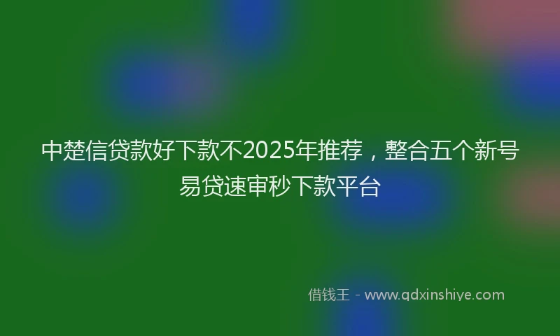 中楚信贷款好下款不2025年推荐，整合五个新号易贷速审秒下款平台
