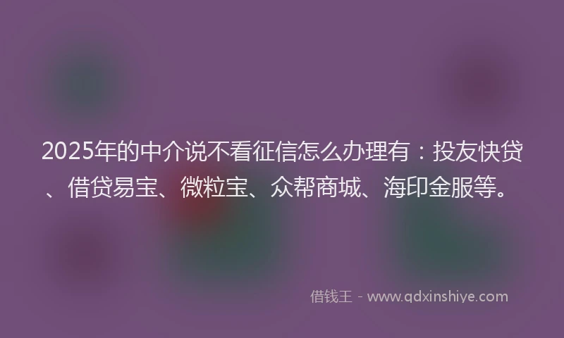 2025年的中介说不看征信怎么办理有：投友快贷、借贷易宝、微粒宝、众帮商城、海印金服等。