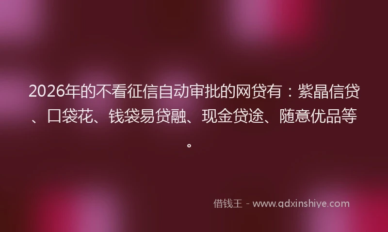 2026年的不看征信自动审批的网贷有：紫晶信贷、口袋花、钱袋易贷融、现金贷途、随意优品等。