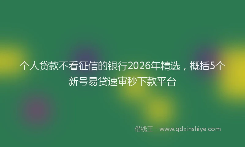 个人贷款不看征信的银行2026年精选，概括5个新号易贷速审秒下款平台