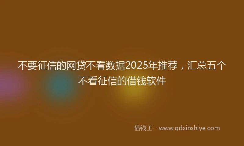 不要征信的网贷不看数据2025年推荐，汇总五个不看征信的借钱软件