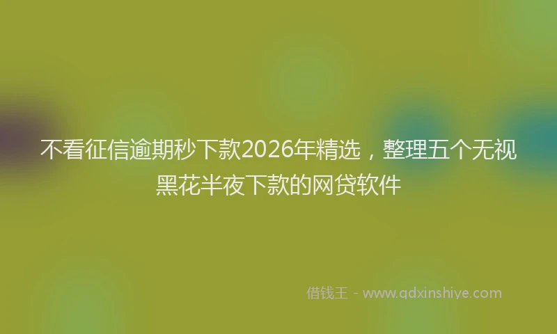 不看征信逾期秒下款2026年精选，整理五个无视黑花半夜下款的网贷软件