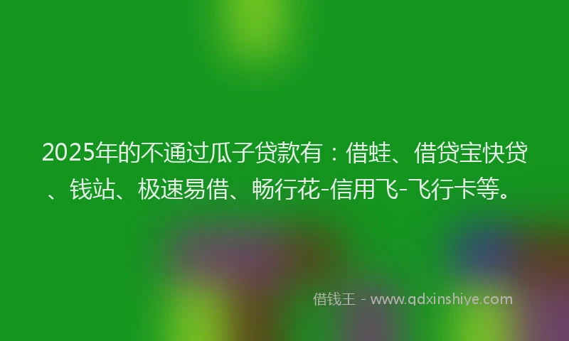 2025年的不通过瓜子贷款有：借蛙、借贷宝快贷、钱站、极速易借、畅行花-信用飞-飞行卡等。