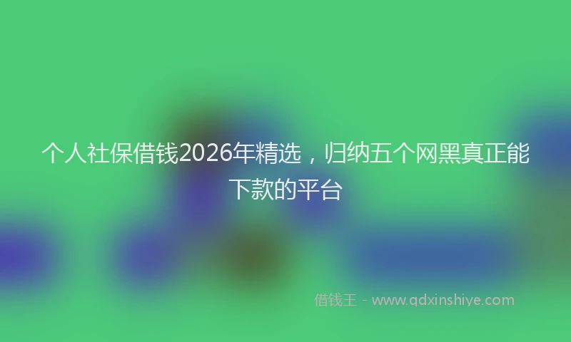 个人社保借钱2026年精选，归纳五个网黑真正能下款的平台