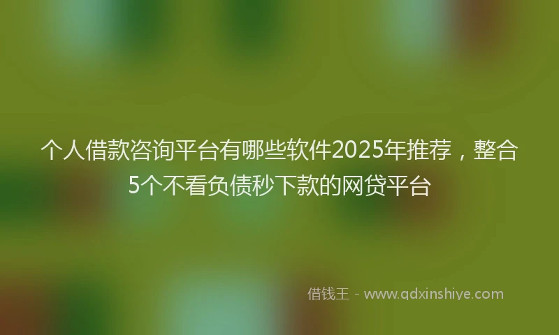 个人借款咨询平台有哪些软件2025年推荐,整合5个不看负债秒下款的网贷平台