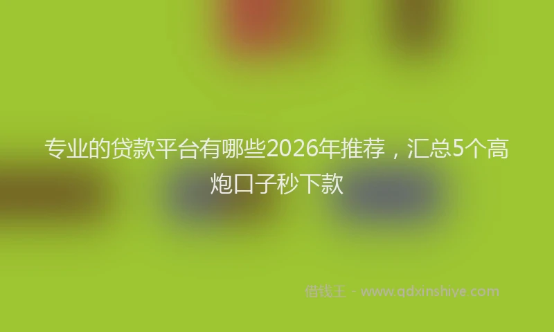专业的贷款平台有哪些2026年推荐，汇总5个高炮口子秒下款