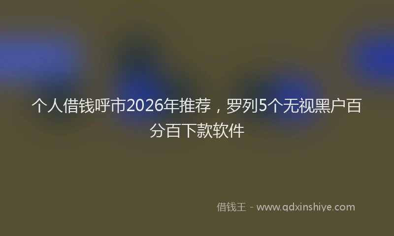 个人借钱呼市2026年推荐,罗列5个无视黑户百分百下款软件