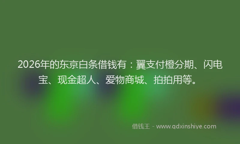 2026年的东京白条借钱有：翼支付橙分期、闪电宝、现金超人、爱物商城、拍拍用等。