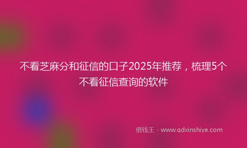 不看芝麻分和征信的口子2025年推荐，梳理5个不看征信查询的软件