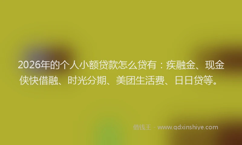 2026年的个人小额贷款怎么贷有：疾融金、现金侠快借融、时光分期、美团生活费、日日贷等。