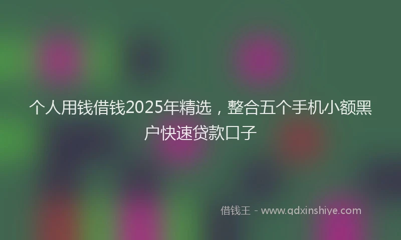 个人用钱借钱2025年精选，整合五个手机小额黑户快速贷款口子