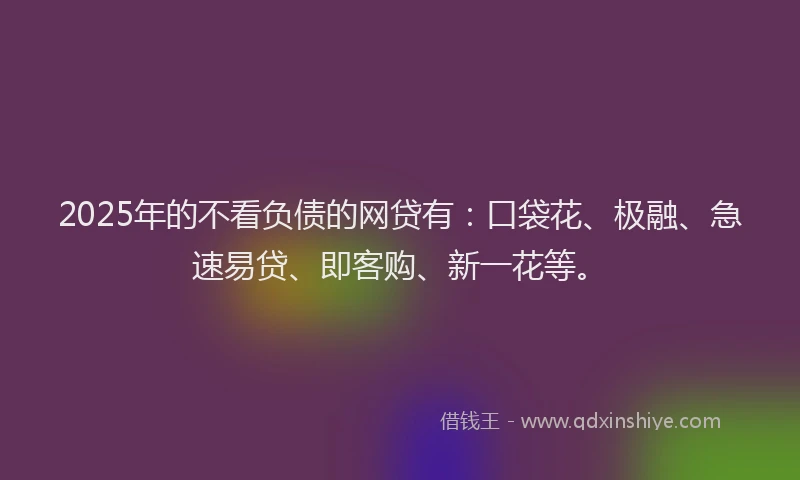 2025年的不看负债的网贷有：口袋花、极融、急速易贷、即客购、新一花等。