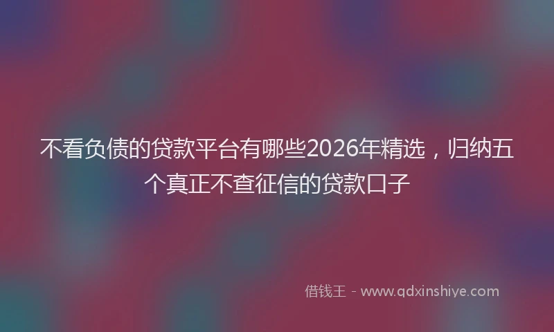 不看负债的贷款平台有哪些2026年精选，归纳五个真正不查征信的贷款口子